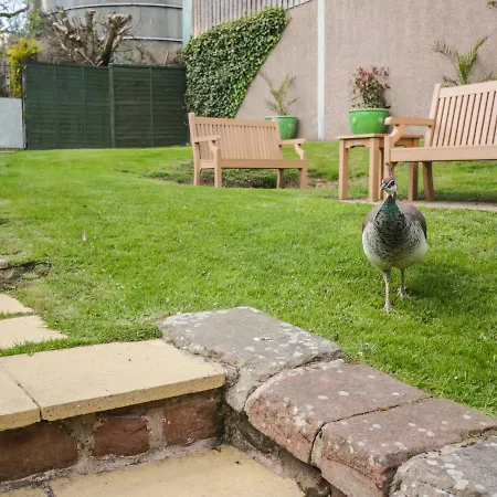 Swallows Nest * カーライル