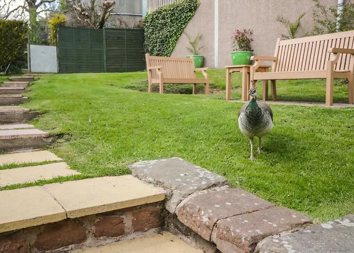 Swallows Nest * カーライル